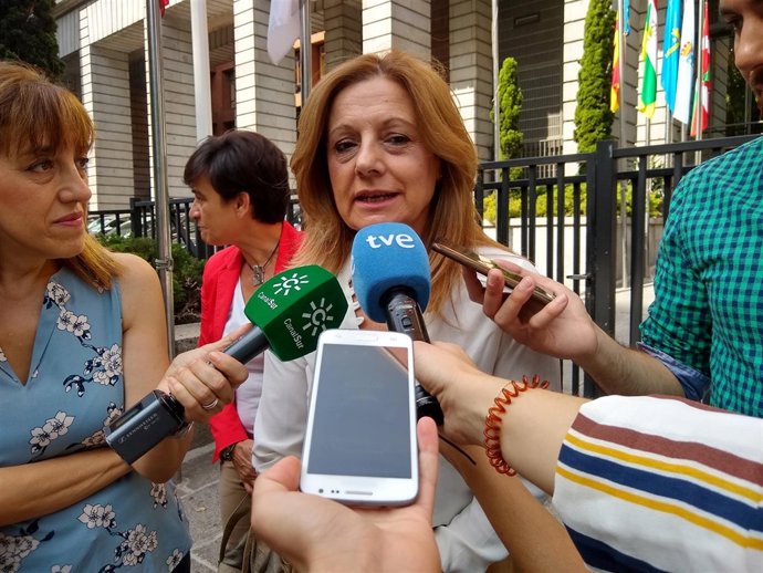 La consejera de Salud, Marina Álvarez, a su llegada al CISNS