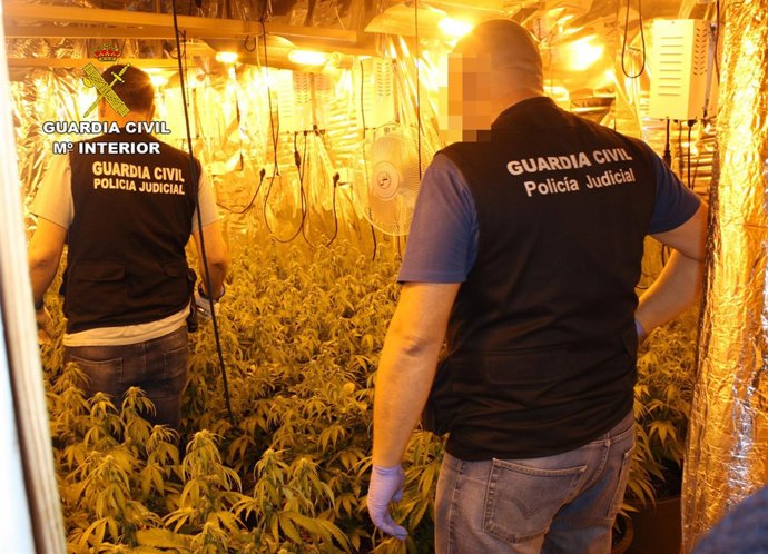 Guardia Civil desmantela un punto de venta directa de marihuana a consumidores