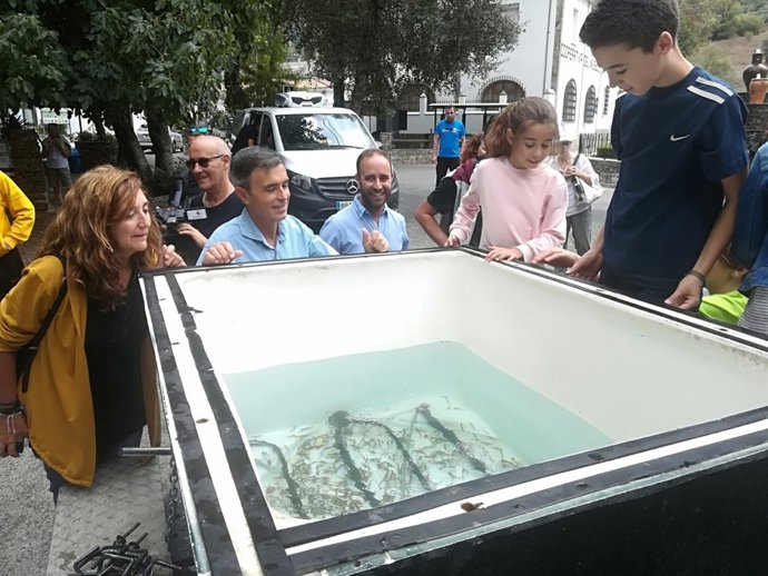 Suelta de alevines de trucha en el Río Majaceite