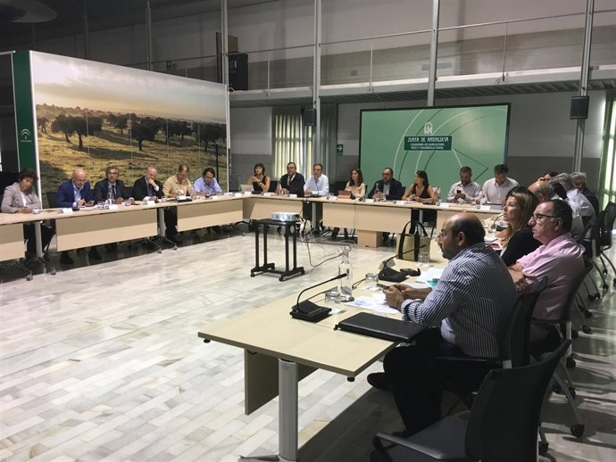 Reunión con el sector de la aceituna de mesa