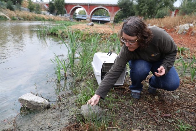 Suelta de galápagos