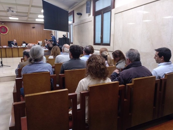 Los controladores aéreos en el último día de juicio en Baleares