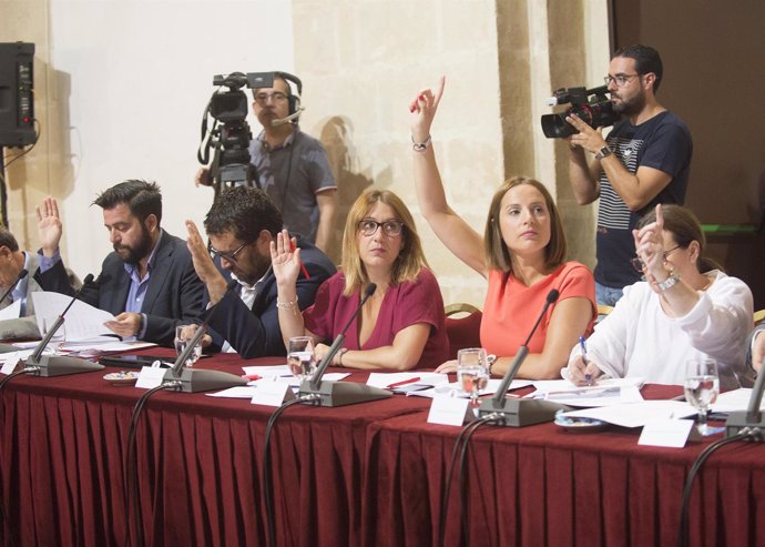 Votación en Pleno de la Diputación de Cádiz