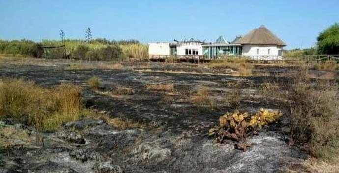 Incendio de la zona de 'El Camaleón' de Chipiona