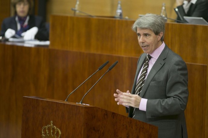 El presidente de la Comunidad en funciones, Ángel Garrido, en la Asamblea