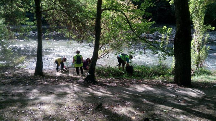 Campaña anterior en el río Arga.