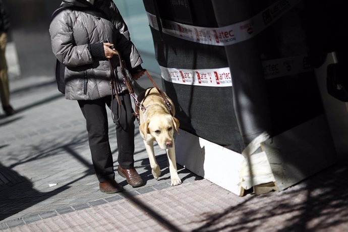 Discapacidad, discapacitado, ciego, personas ciegas con perro guía, lazarillo