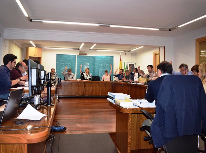 Pleno Ayuntamiento de Piélagos 