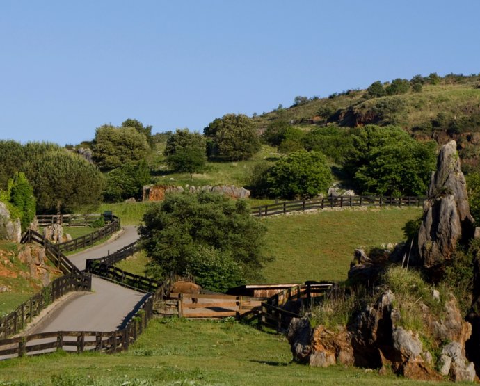 Parque de la Naturaleza de Cabárceno