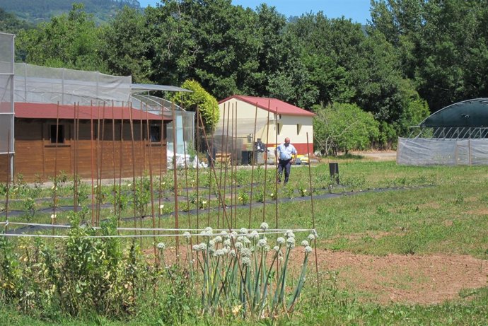 Instalaciones Del Serida En Villaviciosa