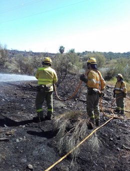 Efectivos trabajan contra un incendio forestal en Niebla (Huelva)
