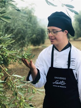 Un trabajador de Universo Santi en el olivar de Grupo Oleíca Jaén