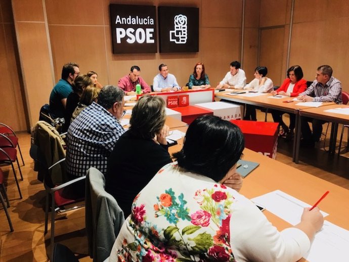 Comisión Ejecutiva Provincial del PSOE de Granada 