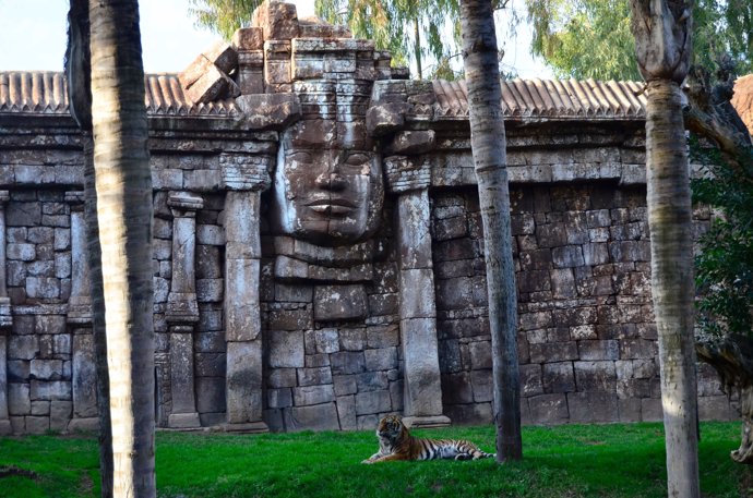 Templo Angkor de Bioparc Fuengirola
