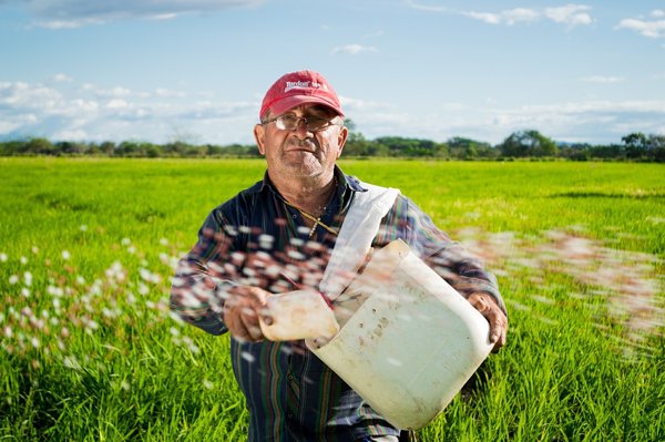 16 de octubre: Día del Agricultor y Ganadero en Ecuador, ¿por qué se  escogió esta fecha para su celebración?