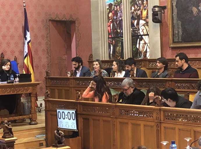 Momento del pleno del Consell de Mallorca