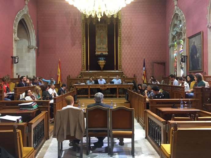 Pleno del Consell de Mallorca