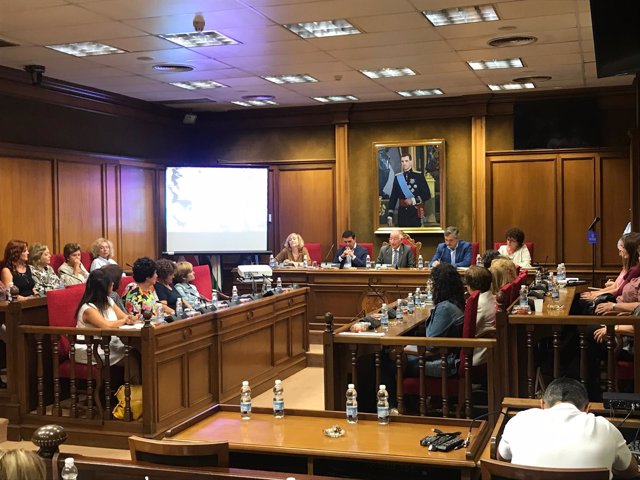 El Consejo Provincial de Mujeres ha celebrado su plenario en Diputación.