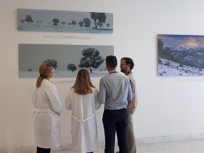 Exposición de Peter Manschot en el San Cecilio