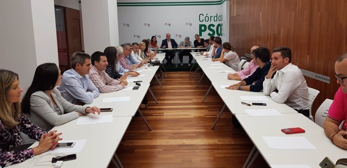 La ejecutiva del PSOE de Córdoba
