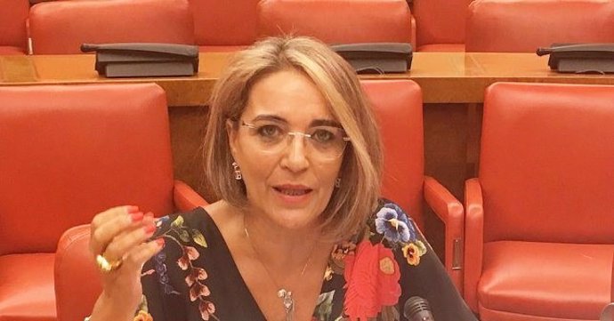 La diputada nacional por el PSOE de Huelva Pepa González Bayo