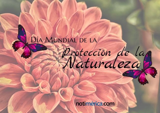 Día Mundial de la protección de la naturaleza