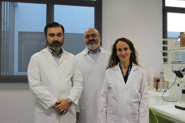 Los investigadores de la UCH CEU