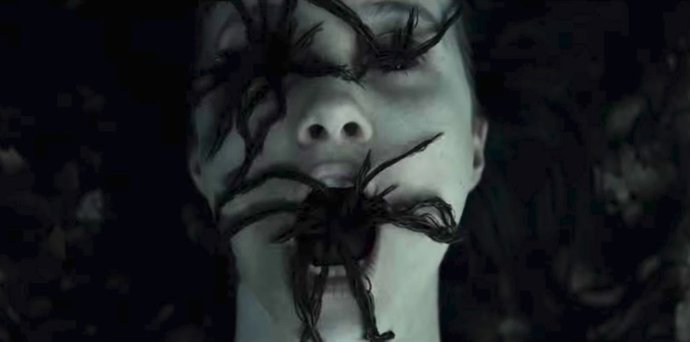 Vídeo de la noticia