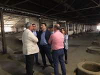 El PSOE-A destaca la presencia de Pedro Sánchez en el Comité Director de este sábado porque está "volcado" con Andalucía