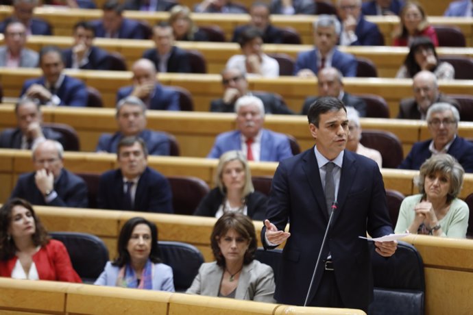 Pedro Sánchez en el Senado 