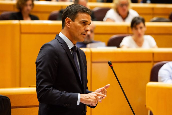 El presidente del Gobierno Pedro Sánchez en el Senado