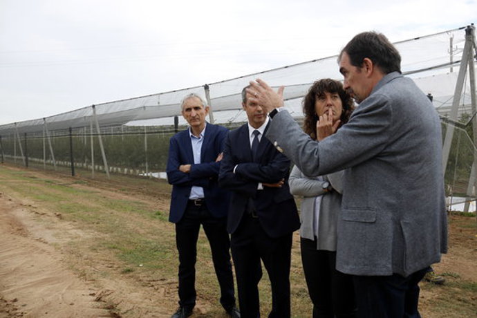 Agencia Catalana de Noticias