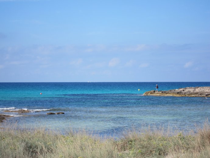                Posidonia Oceanica, Mediterráneo. Formentera                