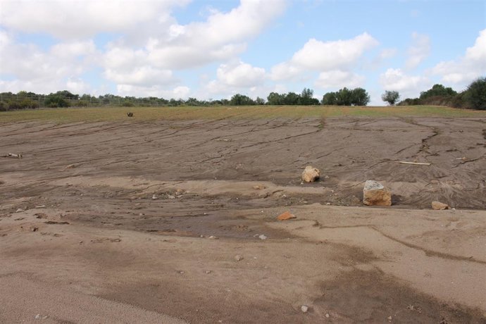 Zona agraria en el Llevant de Mallorca