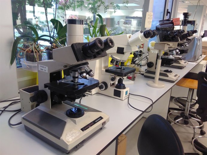 Laboratori de l'Hospital Vall d'Hebron de Barcelona