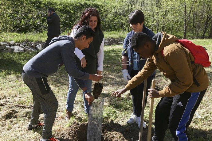 Alumnos participan en un programa de reforestación 