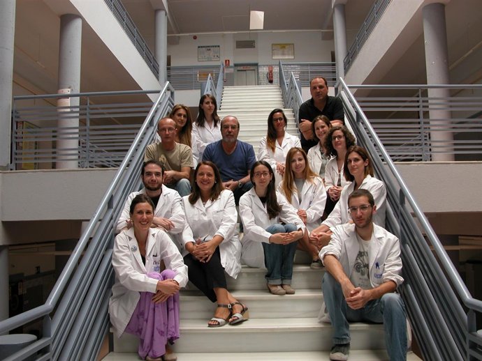 Investigadores detectan la transmisión de sustancias de embalajes a alimentos