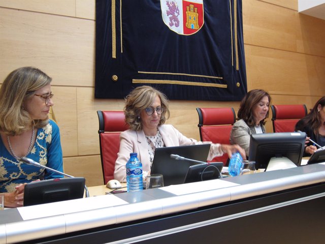La fiscal superior de Castilla y León comparece en las Cortes