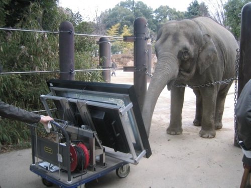 Authai usa la pantalla táctil