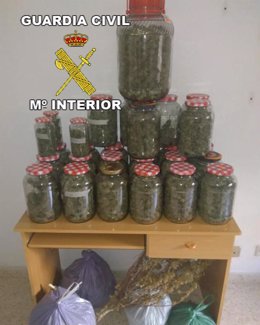 Marihuana intervenida
