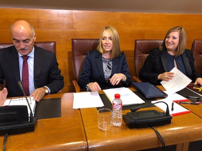 Fiscal superior de Cantabria, Pilar Jiménez, expone Memoria Fiscal en Parlamento