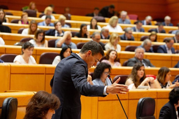 El presidente del Gobierno Pedro Sánchez en el Senado