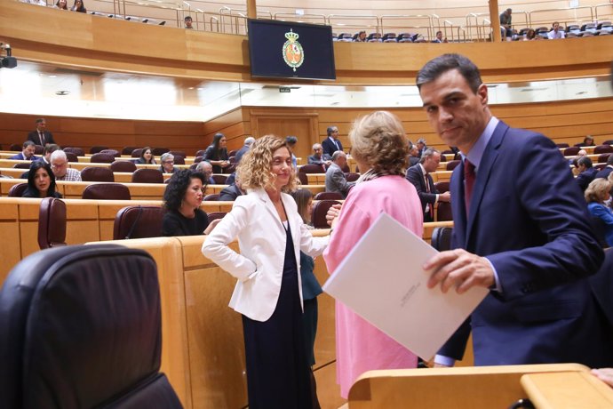 Pedro Sánchez en Sesión de control al Gobierno en el Senado