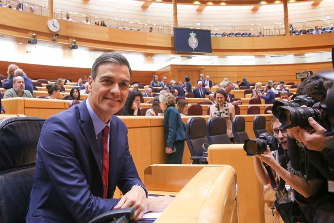 Pedro Sánchez en Sesión de control al Gobierno en el Senado
