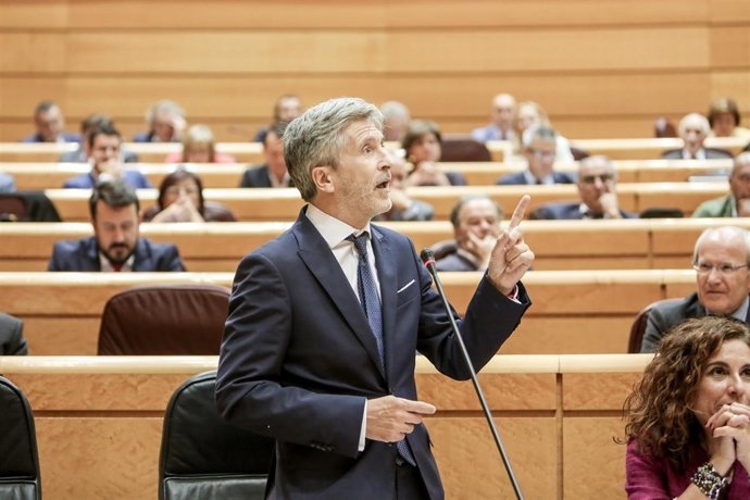 El ministro del Interior Fernando Grande- Marlaska en el Senado
