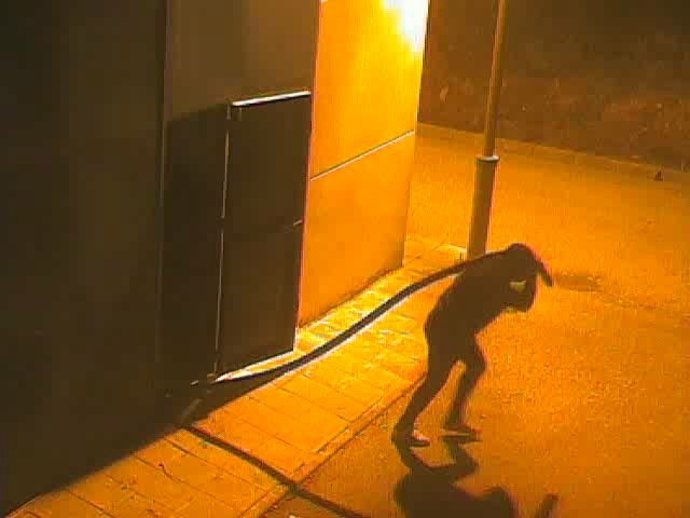 Detenciones en Sevilla robando cobre de una estación de bombeo