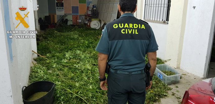 Intervención de marihuana por parte de la Guardia Civil