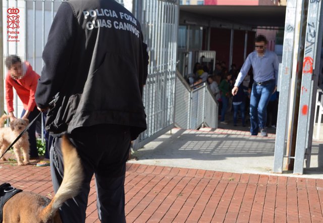 Un guía canino de la Policía Foral en la entrada de un centro escolar