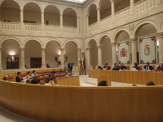 Sesión ordinaria Palamento de La Rioja