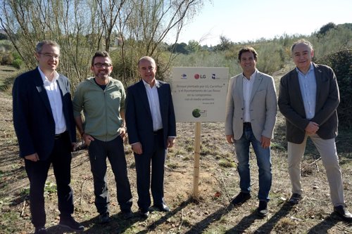 Carrefour y LG plantan 500 árboles en Las Rozas (Madrid)